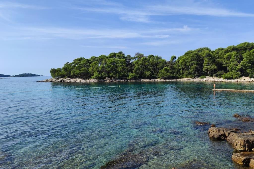 Apartman Nilema *